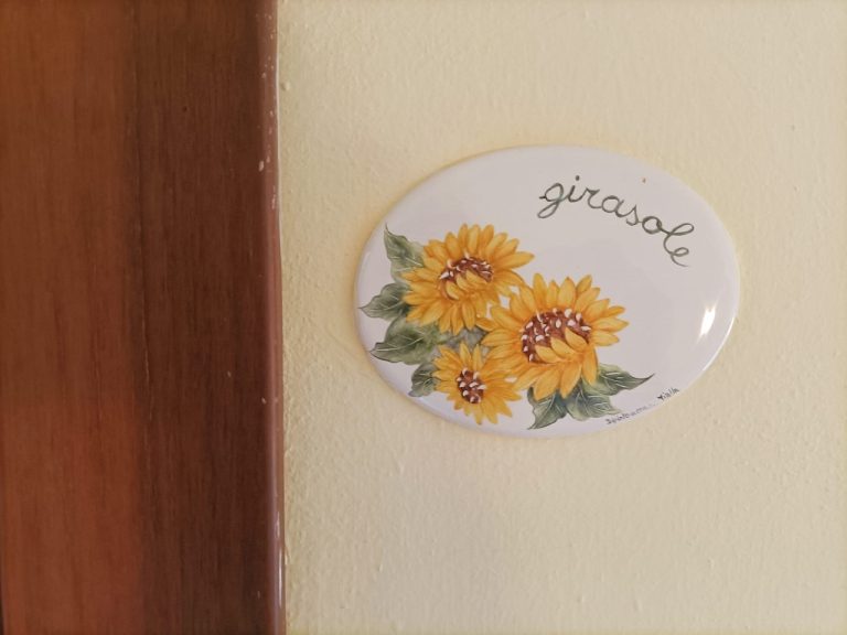 GIRASOLI 5