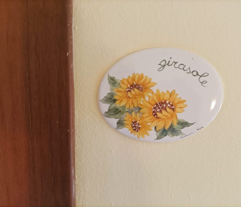 Girasoli
