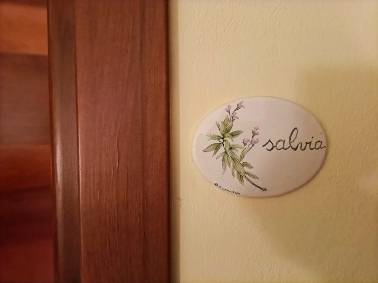 SALVIA2