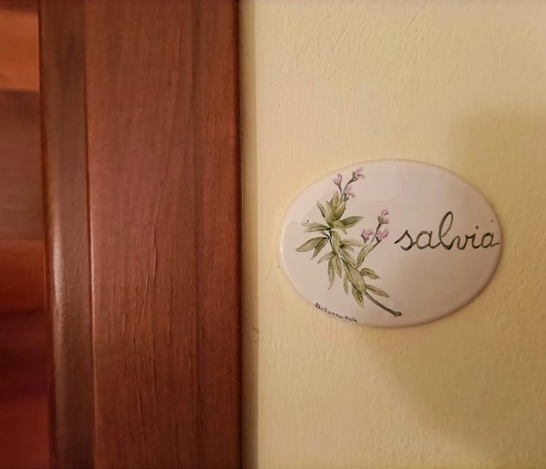 Salvia